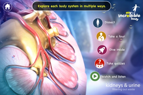 My Incredible Body - Guide to Learn About the Human Body for Children - Educational Science App with Anatomy for Kids screenshot 3