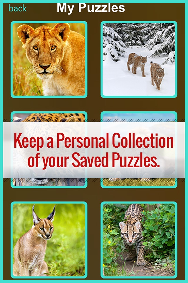 Animal Puzzle Packs & Bits - Kitty Cat Baby Mermaid Jigsaw screenshot 3