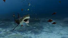 Game screenshot Aquarium VR apk