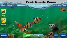 fish farm 2 problems & solutions and troubleshooting guide - 4