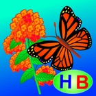 Câu chuyện của bướm và hoa (Truyện thiếu nhi từ tác giả Hiền Bùi)