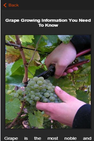 Grape Growing Guide screenshot 3