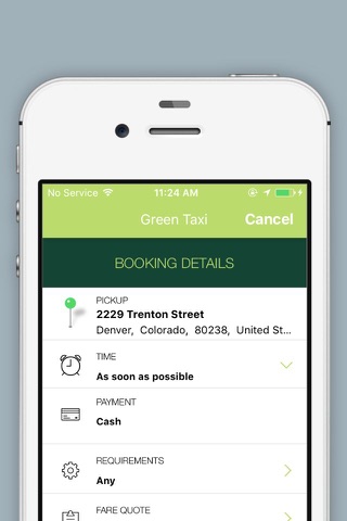 Green taxi screenshot 3