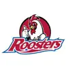 Roosters App Feedback