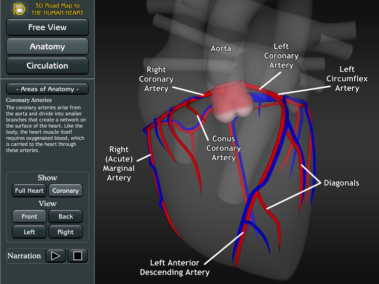 3D Road Map to the Human Heart