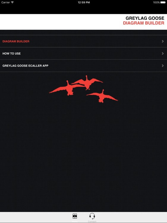 Greylag Goose Hunting Diagram Builder