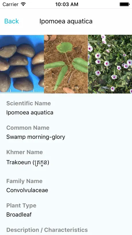 Weed Identifier
