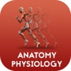 Anatomy & Physiology by Video