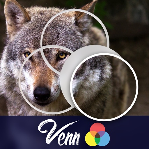 Venn Wolves: Overlapping Jigsaw Puzzles