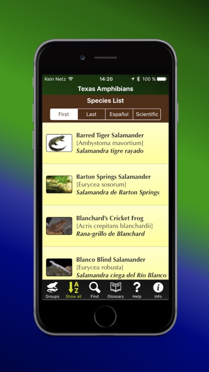 Texas Amphibians - Guide to Common Species