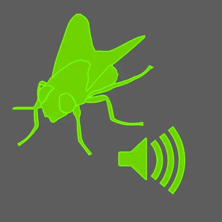 Insta Fly Читы