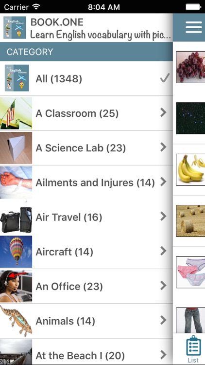 Learn English vocabulary with pictures and audios - From basic to advandce