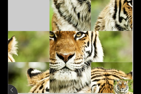 Animals - Jigsaw and Sliding Puzzles screenshot 3