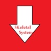 SkeletalSystemLessons