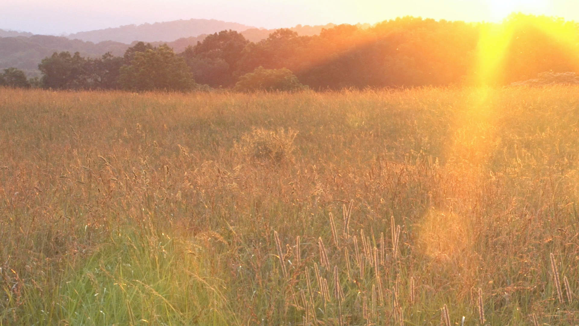 Nature - Relaxing Videos and Sounds of Natural Landscape screenshot 4