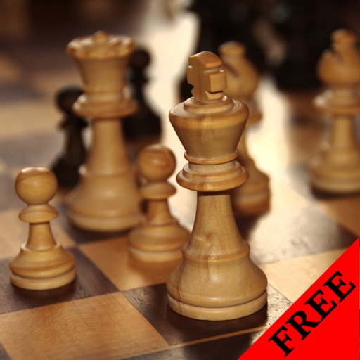 Chess Photos & Videos Gallery FREE