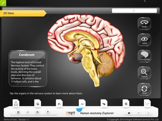 Human anatomy explorer Nervous System(圖3)-速報App