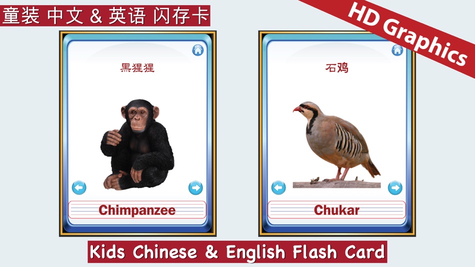 Kids Chinese & English Flash Cards ABC - 1.0 - (iOS)