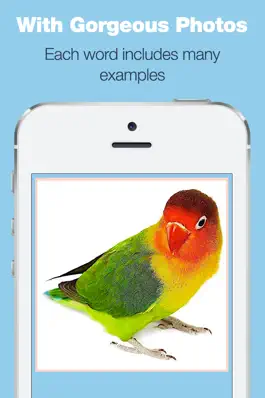 Game screenshot Baby Flash Cards - My First Words Game for Boys and Girls hack