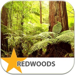 Redwood Park