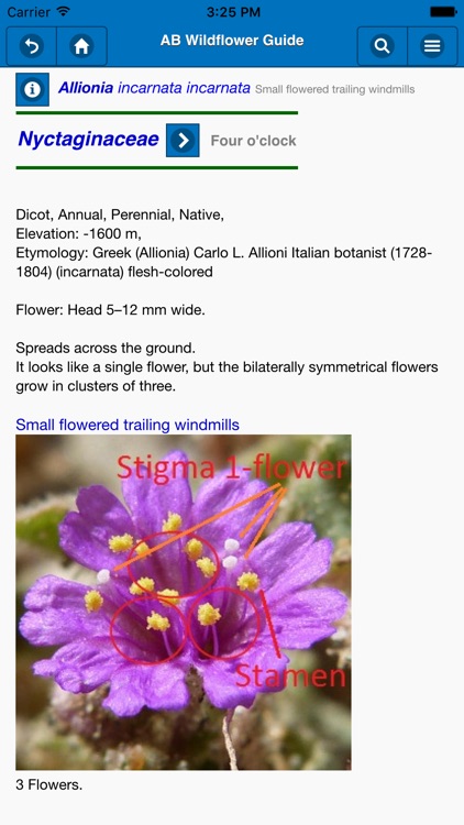 Anza-Borrego Wildflower Guide screenshot-3