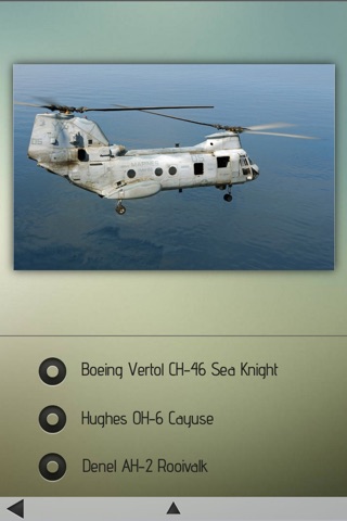 Military Helicopters Edition screenshot 4
