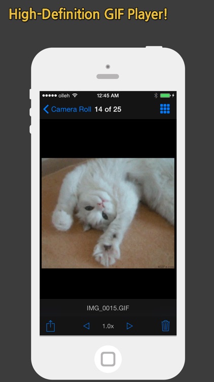 GIF Show - GIF Viewer and Album