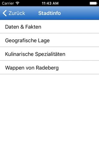 Radeberg screenshot 2