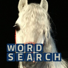 Activities of Wordsearch Revealer Horses