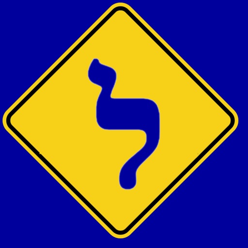 Israel Car Driving License Theory Test Free icon