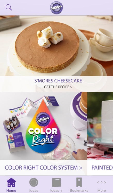 Wilton Cake Ideas & More