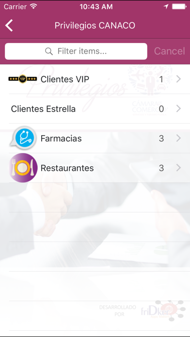 Privilegios CANACO Puebla screenshot 2