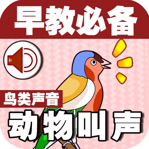 Baby Learns Chinese - Learn Birds sounds