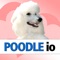 Poodle io