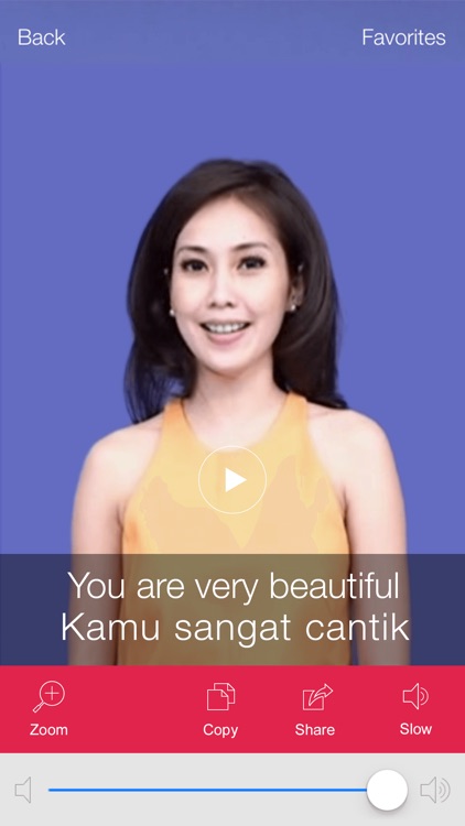 Indonesian Video Dictionary - Translate, Learn and Speak with Video Phrasebook screenshot-4