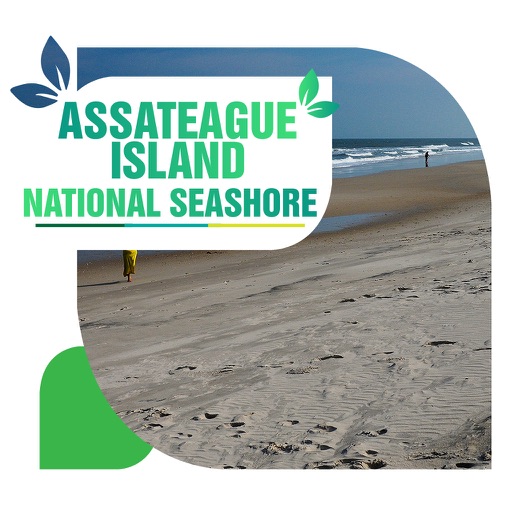 Assateague Island National Seashore Travel Guide icon