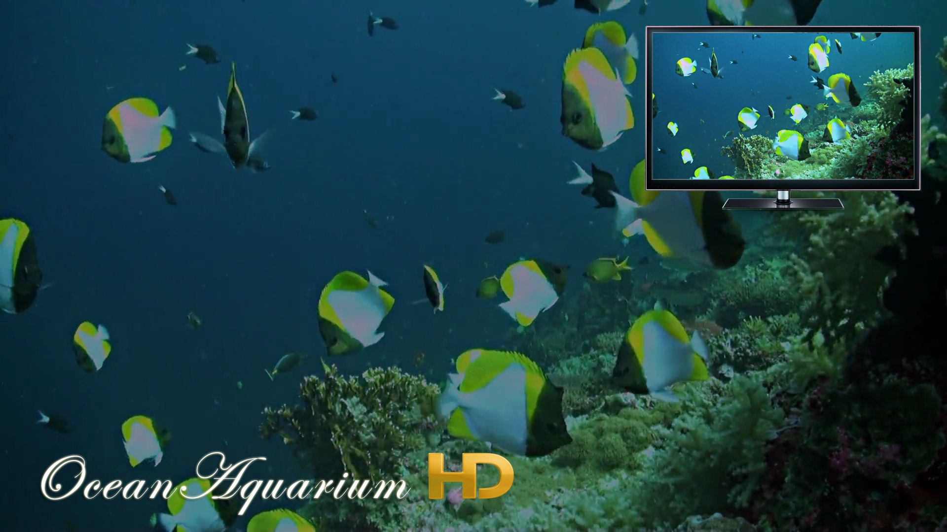 Ocean Aquarium HD screenshot 9