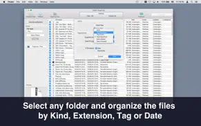 folder organizer iphone bildschirmfoto 2