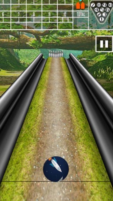 Real Bowling Similar screenshot 2