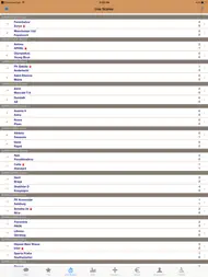 Online Betting - Your Guide for Sports Betting ipad bilder 1