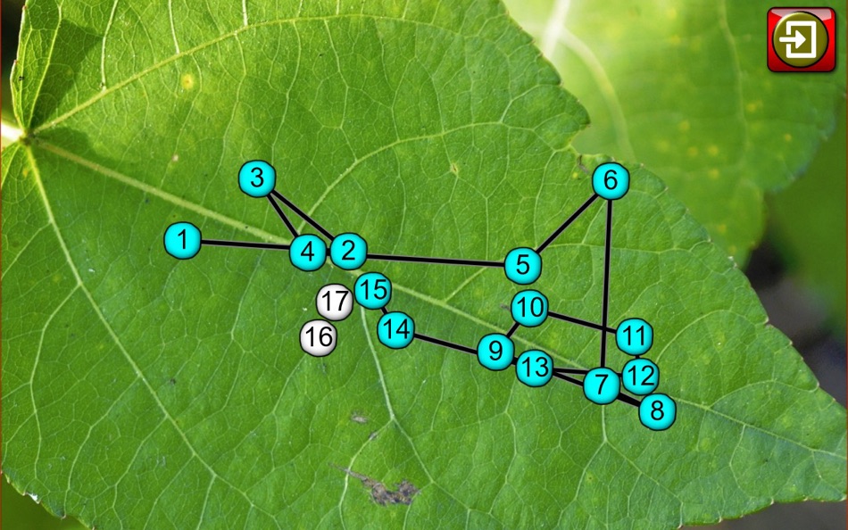 #3. Kids Insect Jigsaw Puzzle and Memory Games (macOS) 由: Espace Pty Ltd