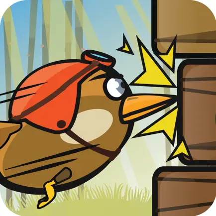WoodPecker : Bird Dash Cheats