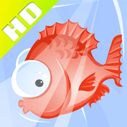 Bango24 - How smart are you? Читы