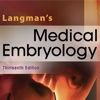 Langman's Medical Embryology, Thirteenth Edition