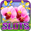 Super Green Slot Machine: Beat the laying natural odds and win instant spins and rolls