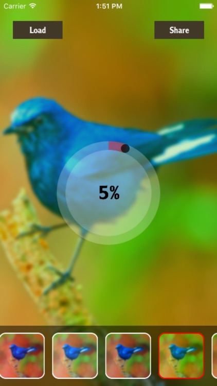 LightX Blur screenshot-3