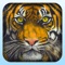 Bengal Tiger Hunter 2016 Pro – Sniper Reload!