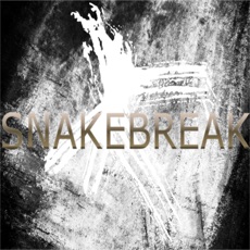 Activities of Snake Break Original