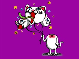 the life of a crazy cat