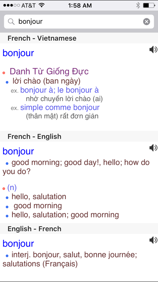 Vietnamese English French - 1.01 - (iOS)